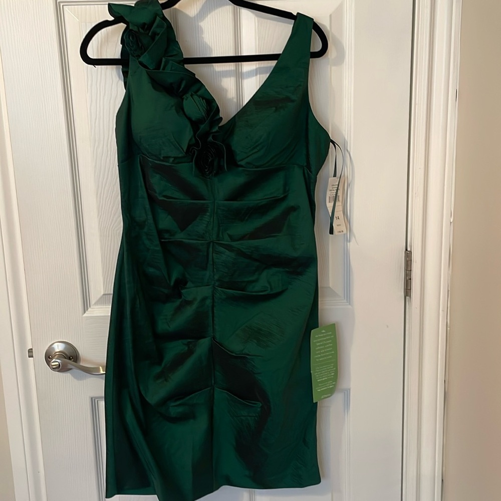 S.L. Fashions dress